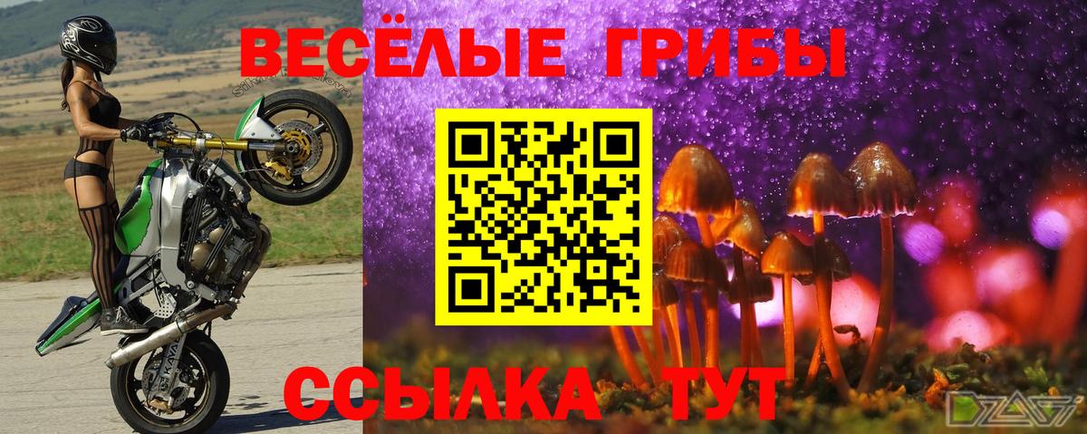 купить наркотики сайты  Псилоцибиновые грибы прущие грибы  Вход с VPN  Рязань  Галлюциногенные грибы прущие грибы 